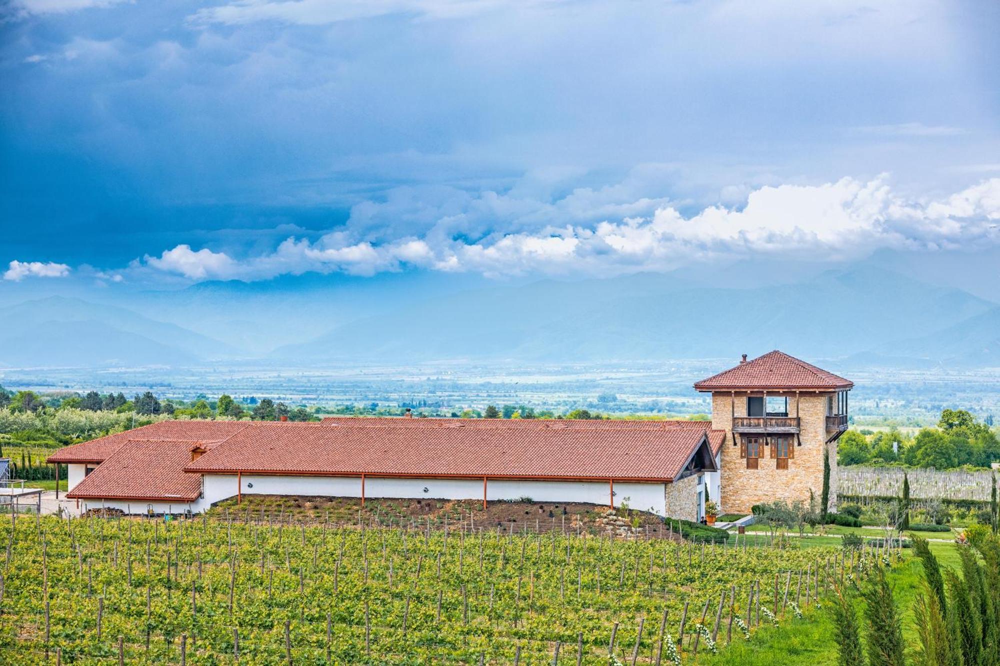 Chateau Mosmieri Hotel & Winery Telavi Exterior photo