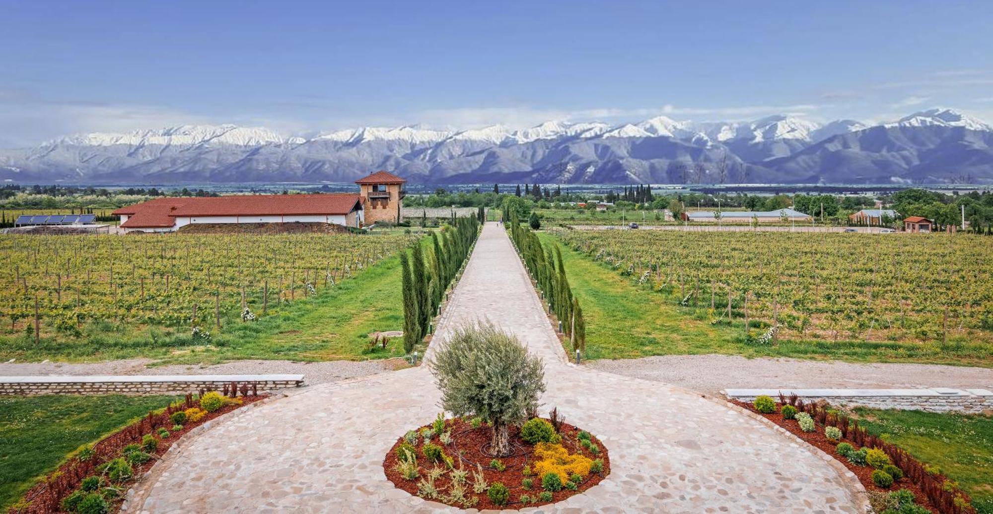 Chateau Mosmieri Hotel & Winery Telavi Exterior photo